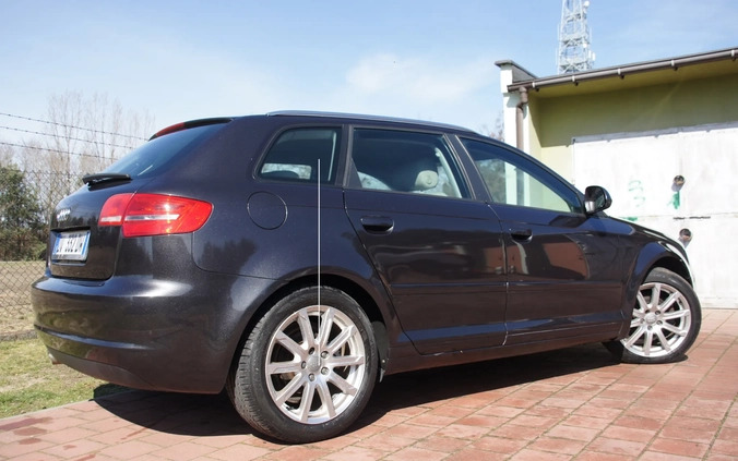 Audi A3 cena 26500 przebieg: 195803, rok produkcji 2009 z Połaniec małe 56